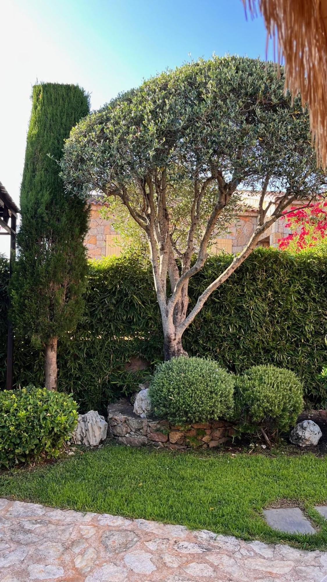 Chez Virginie Bed and Breakfast Porto-Vecchio  Exteriör bild